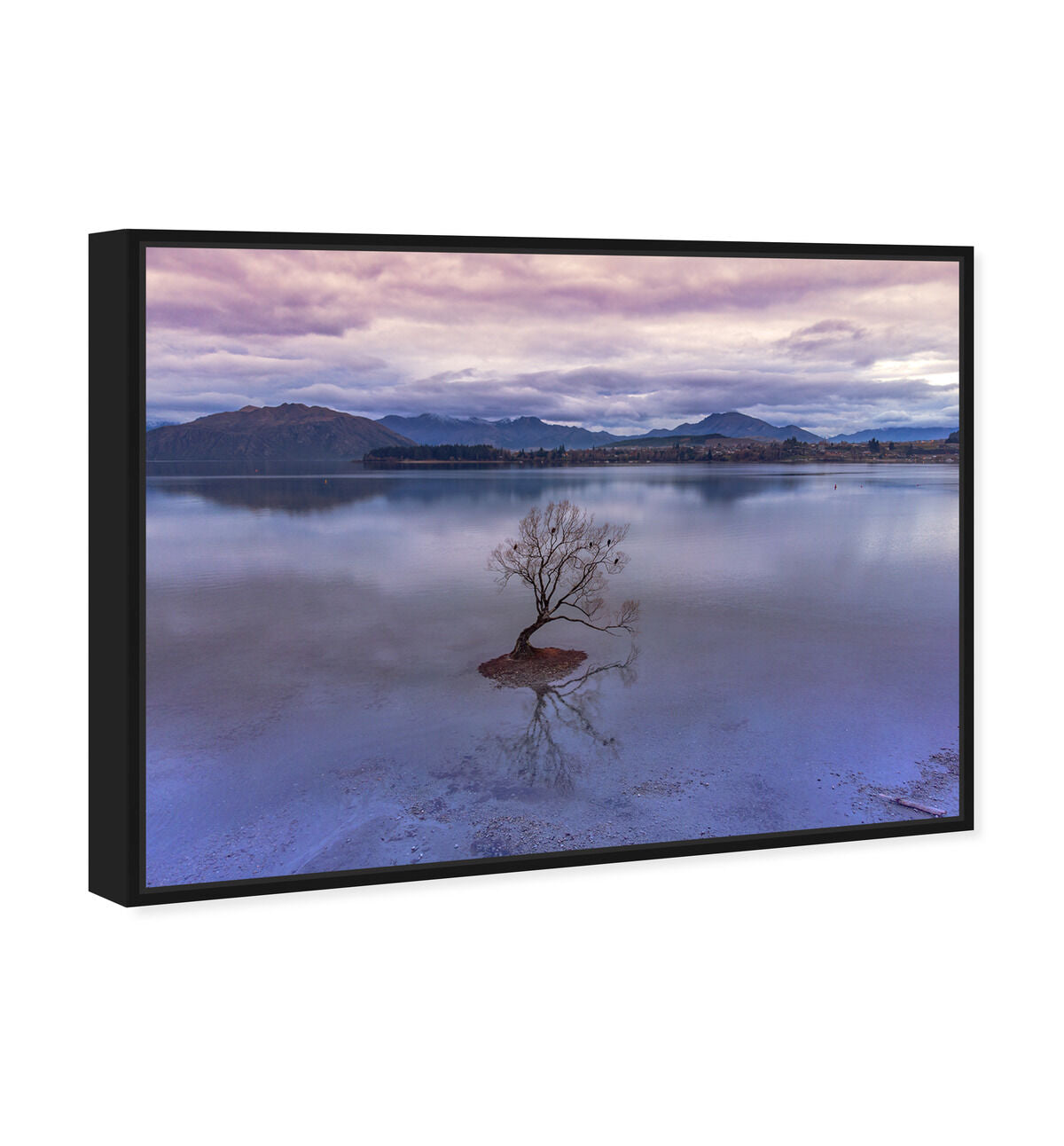 54x36/Framed Canvas/BFL