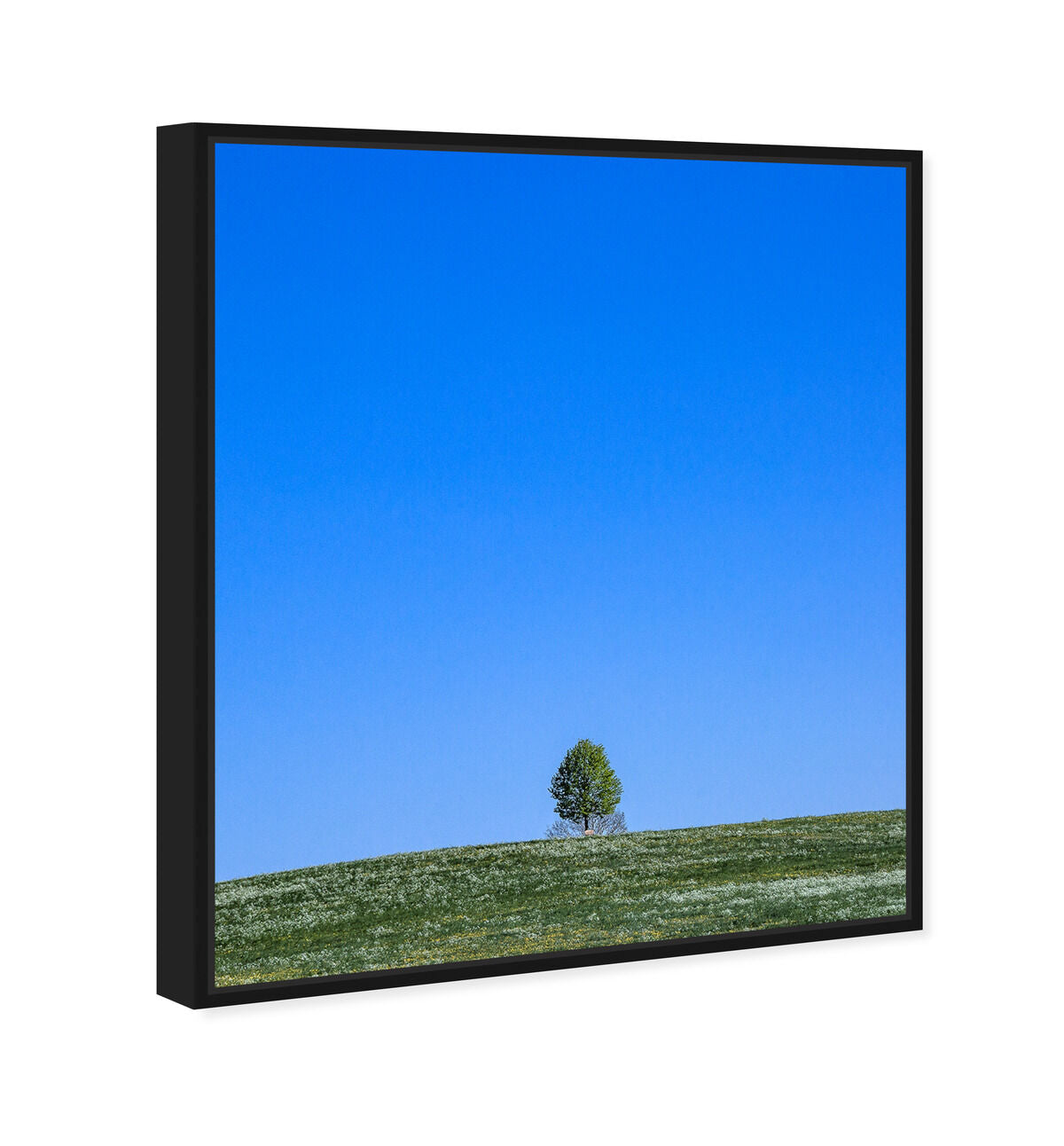 36x45/Framed Canvas/BFL