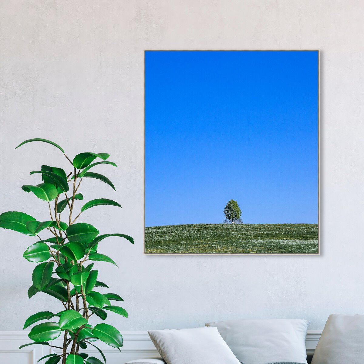 36x45/Framed Canvas/CFL