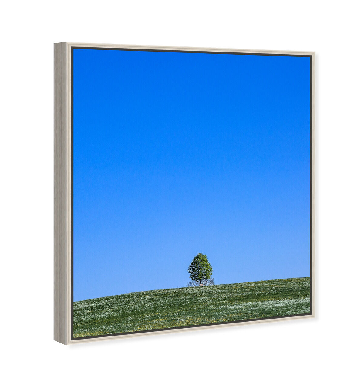 36x45/Framed Canvas/CFL