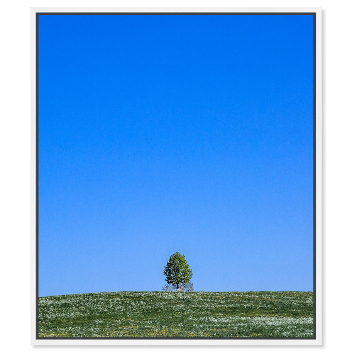 36x45/Framed Canvas/WFL