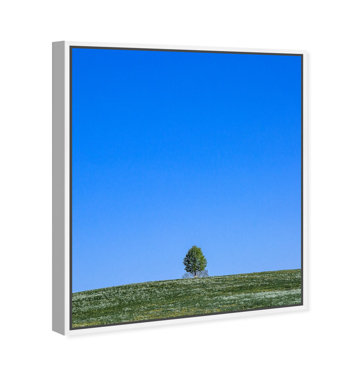 36x45/Framed Canvas/WFL