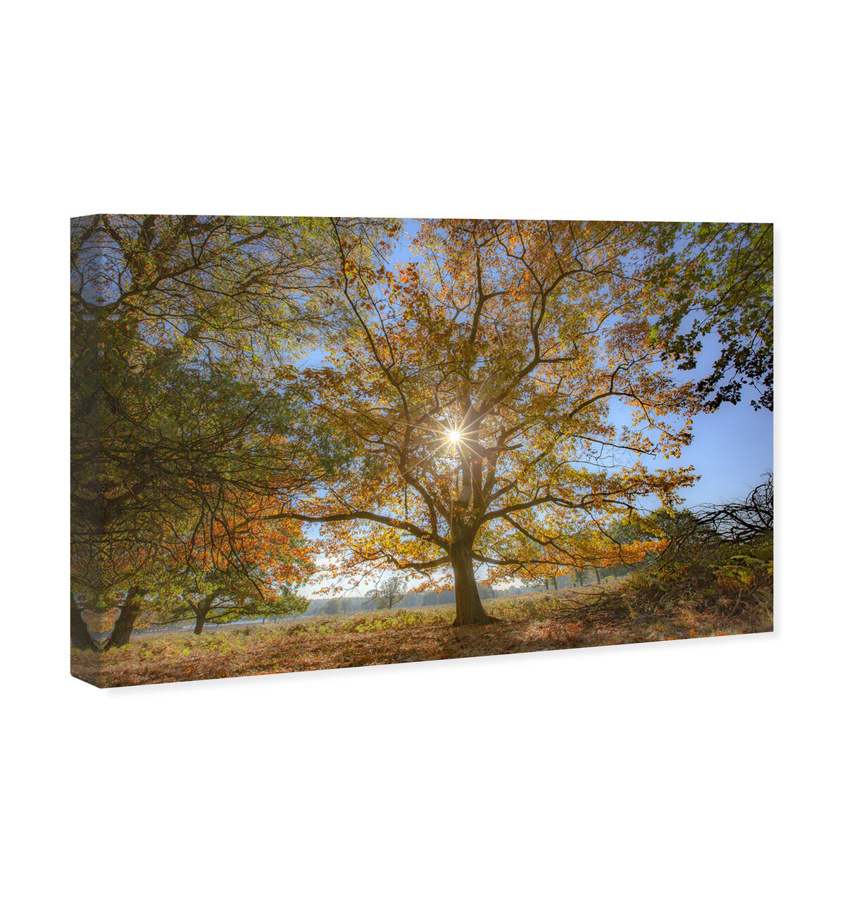 54x36/Canvas/XHD