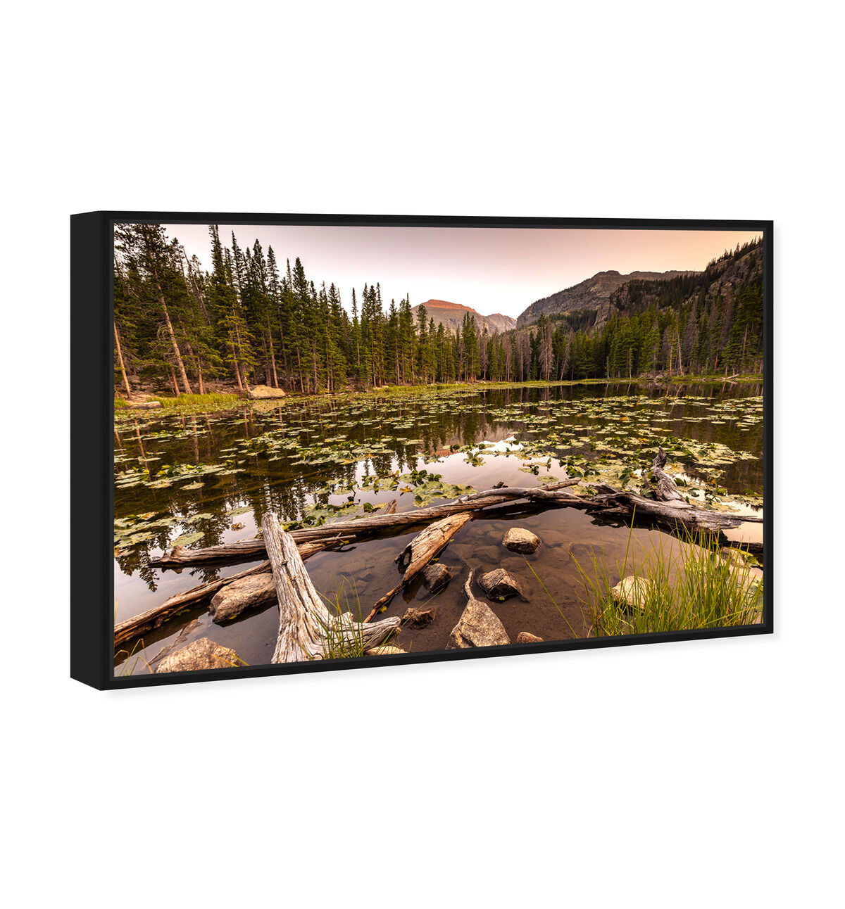54x36/Framed Canvas/BFL