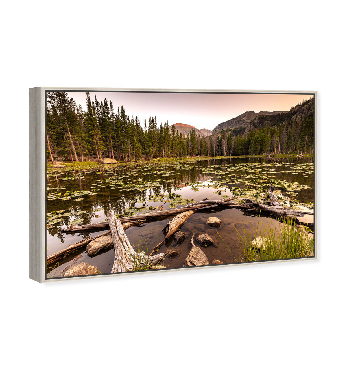 54x36/Framed Canvas/CFL
