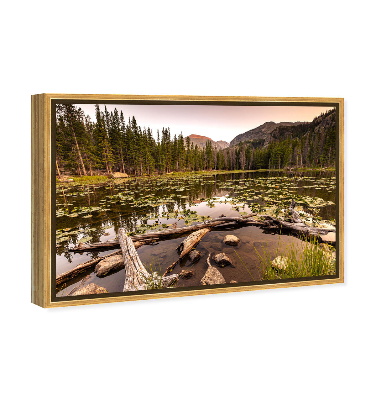 54x36/Framed Canvas/PSGLD