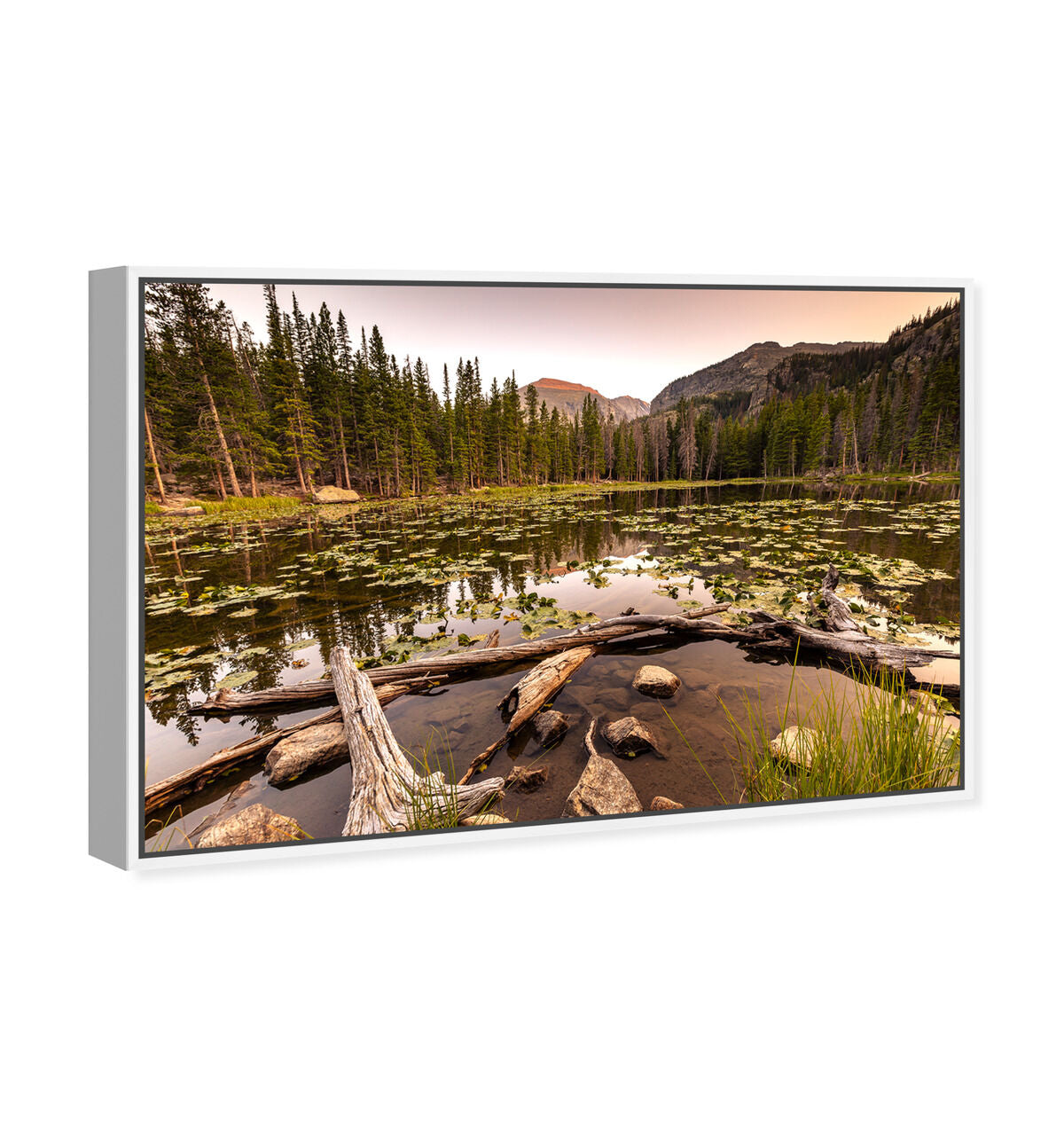 54x36/Framed Canvas/WFL