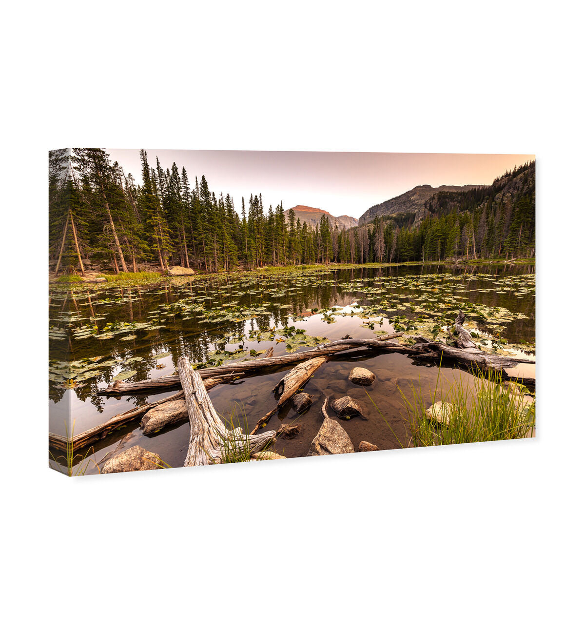 54x36/Canvas/XHD
