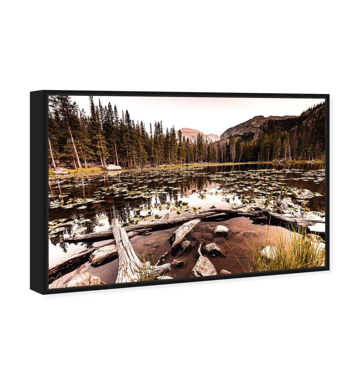 54x36/Framed Canvas/BFL