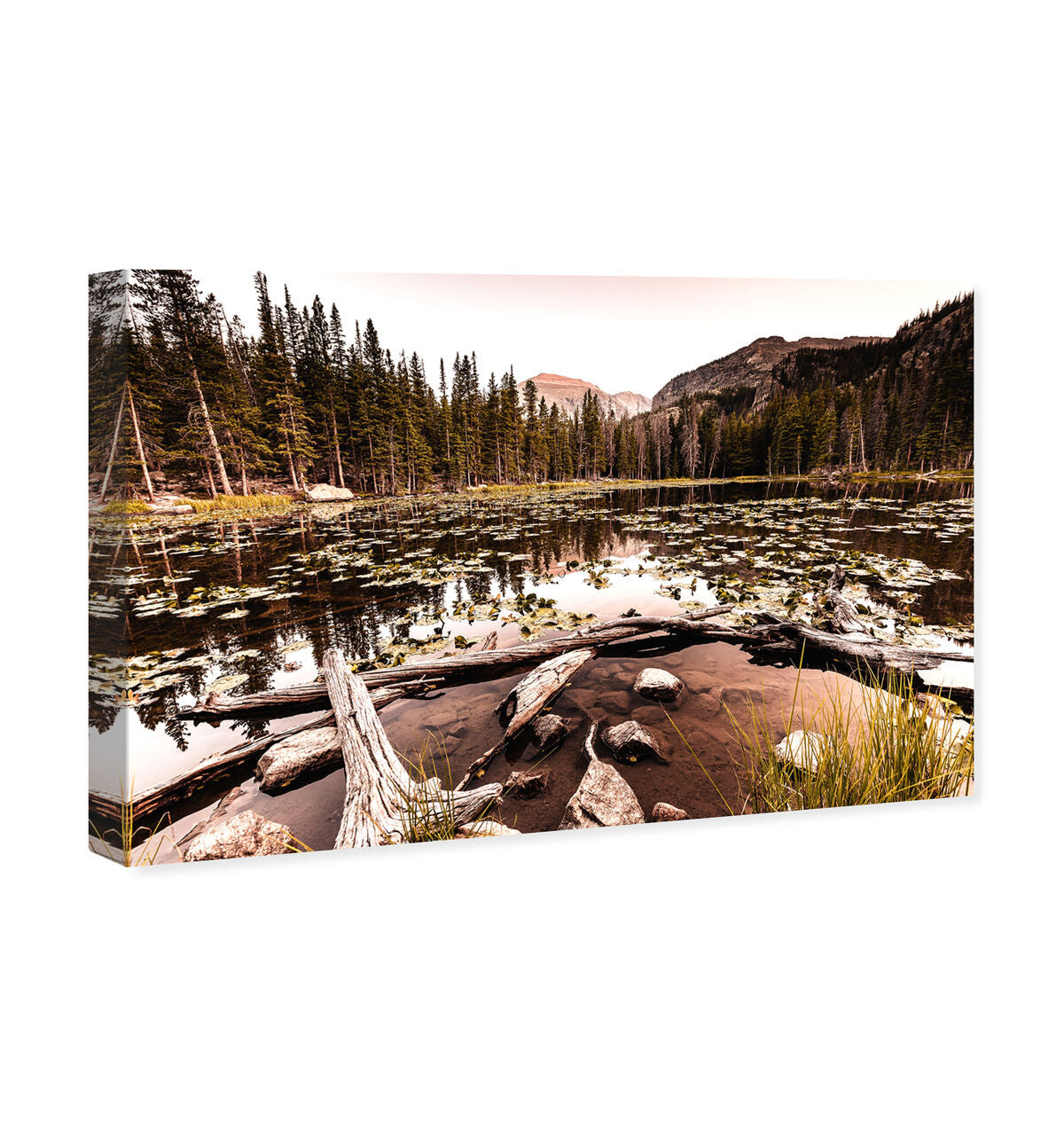 54x36/Canvas/XHD
