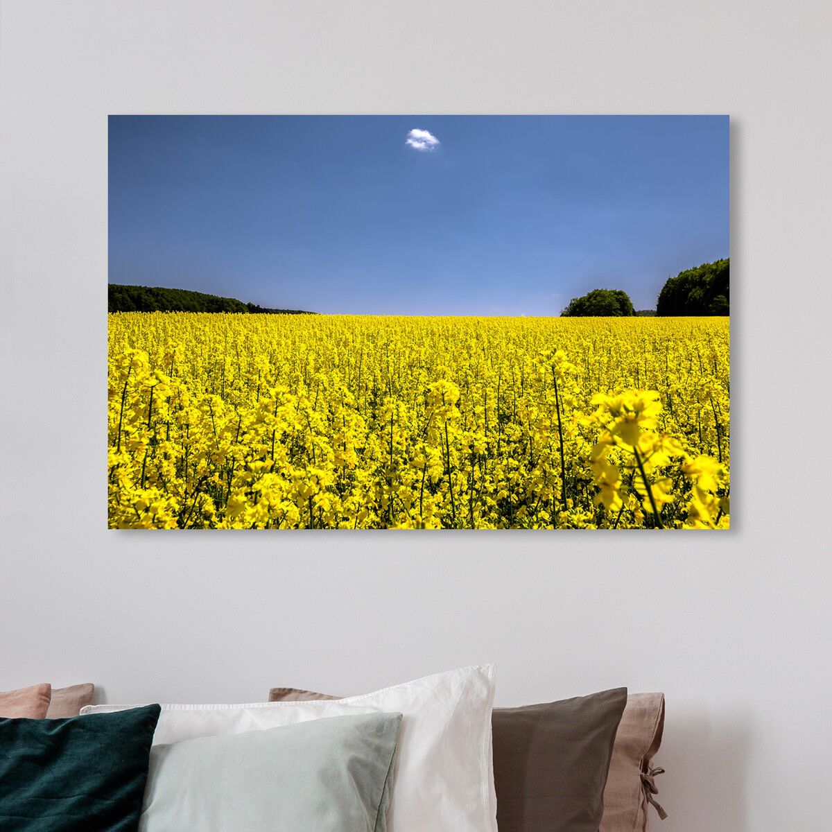 54x36/Canvas/XHD