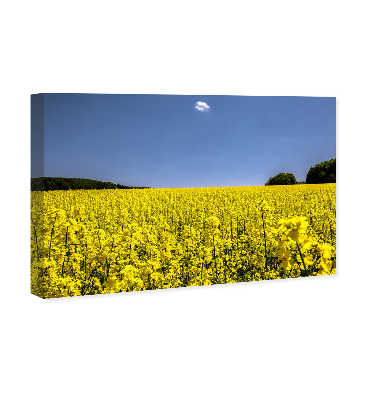 54x36/Canvas/XHD