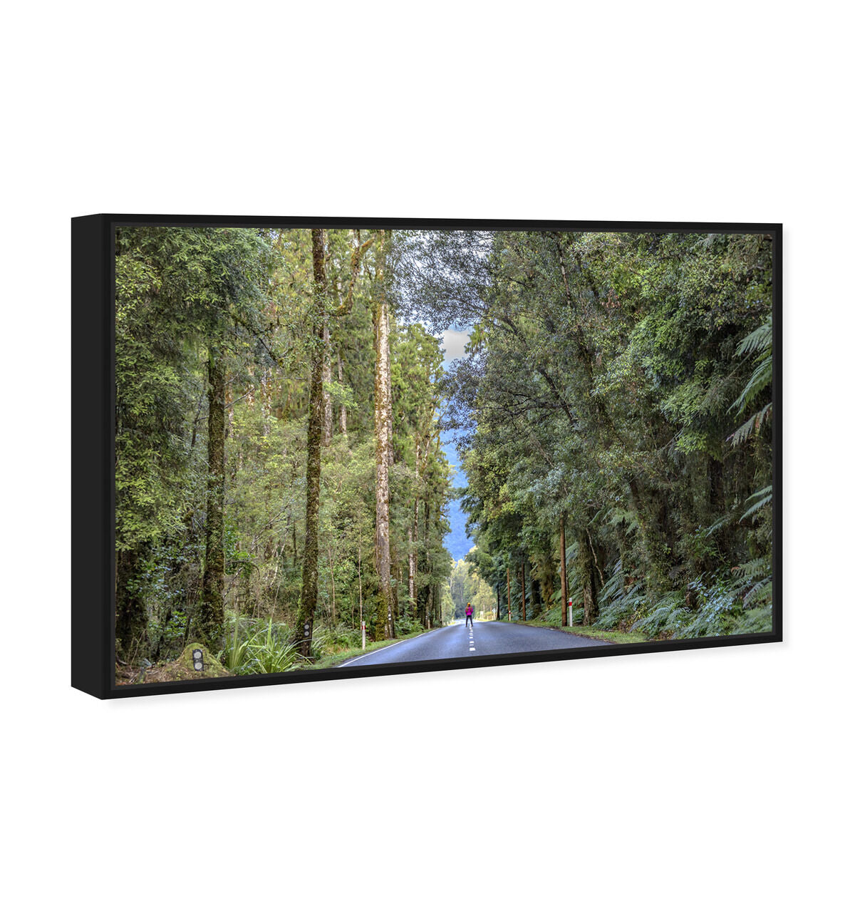 54x36/Framed Canvas/BFL