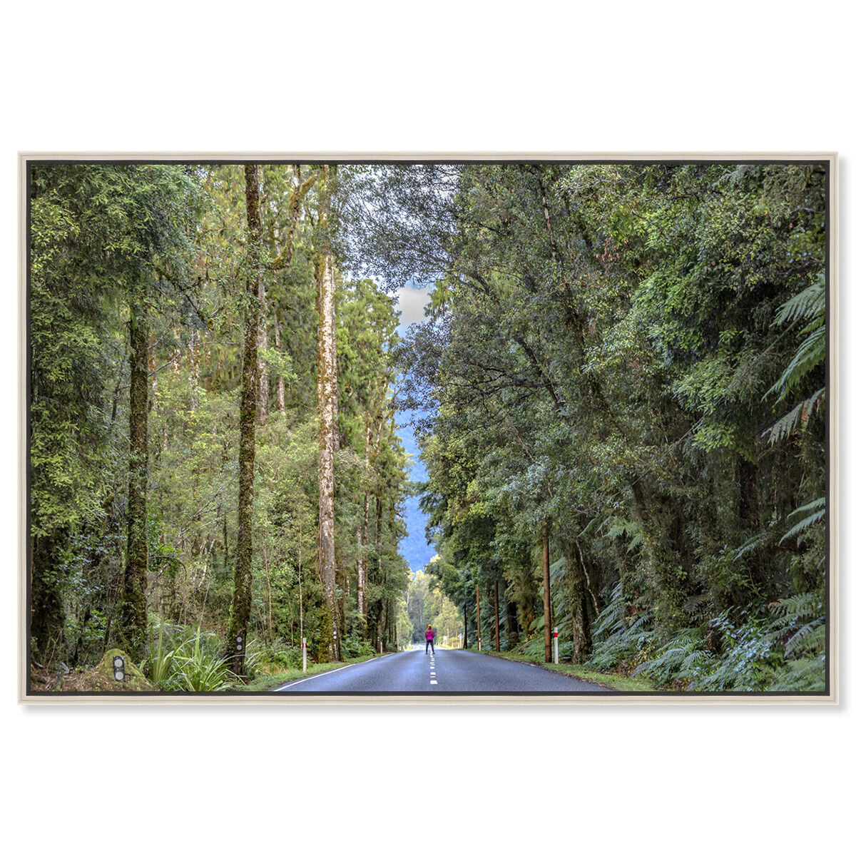 54x36/Framed Canvas/CFL