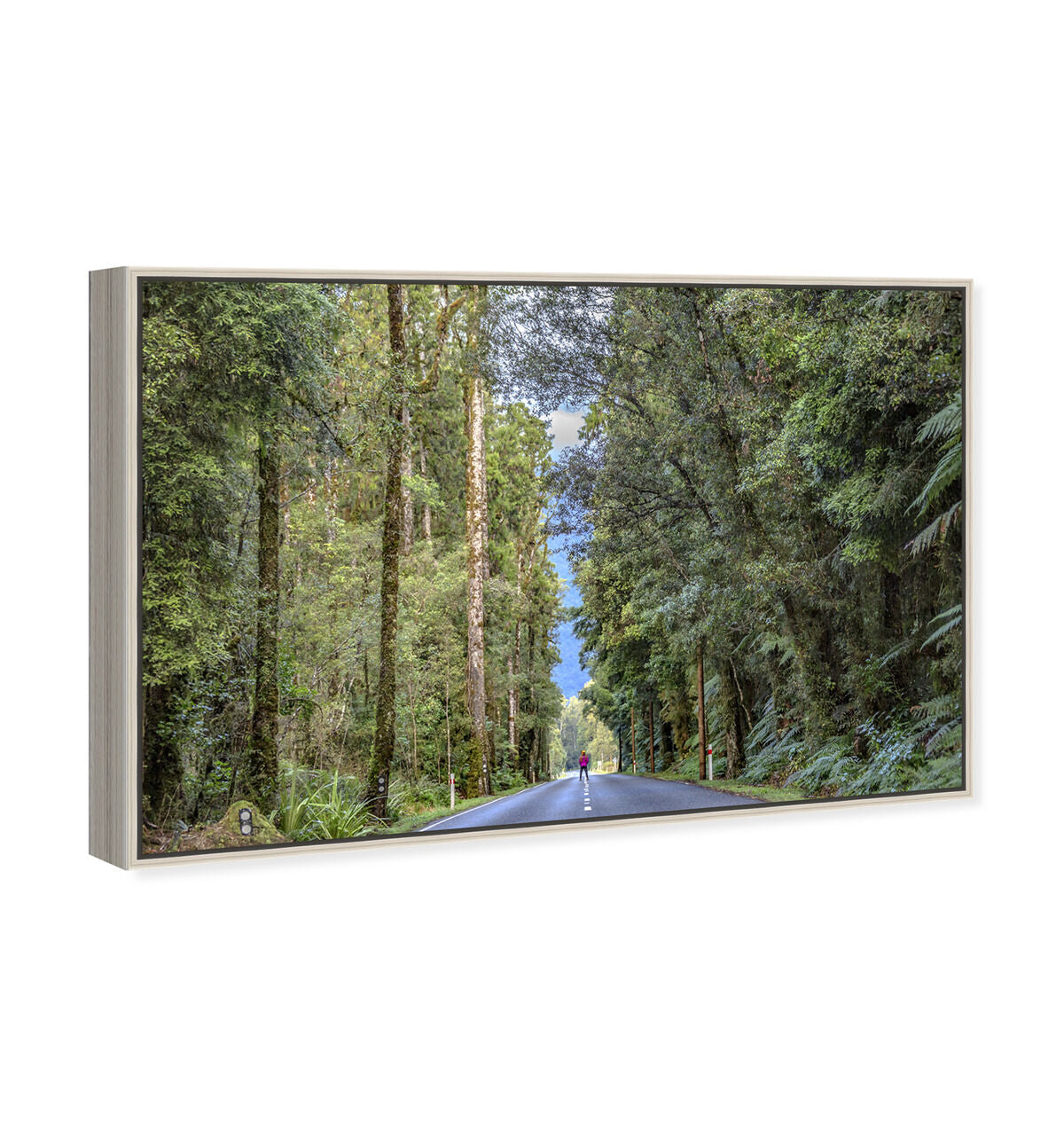 54x36/Framed Canvas/CFL