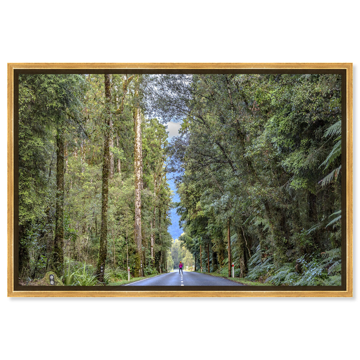 54x36/Framed Canvas/PSGLD