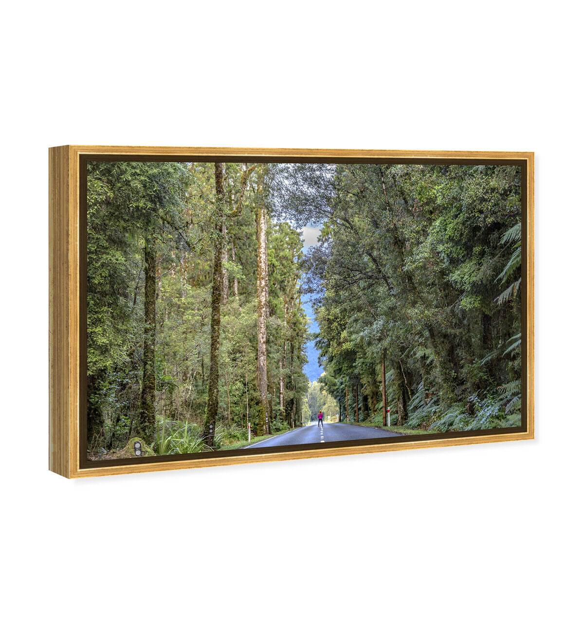 54x36/Framed Canvas/PSGLD