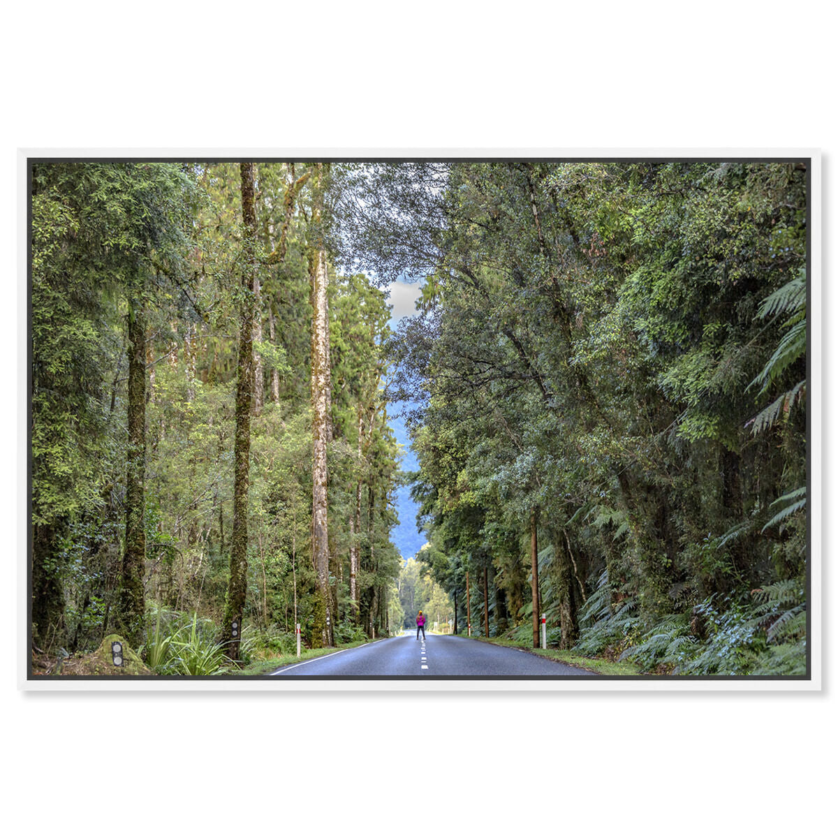 54x36/Framed Canvas/WFL