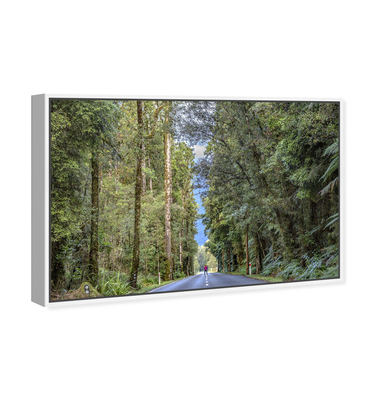 54x36/Framed Canvas/WFL