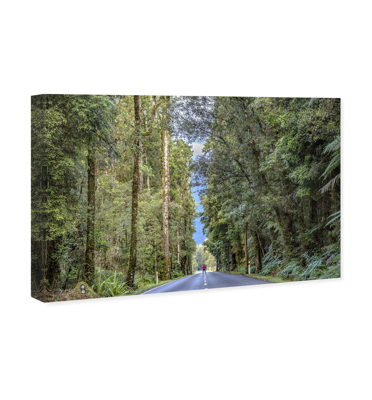 54x36/Canvas/XHD