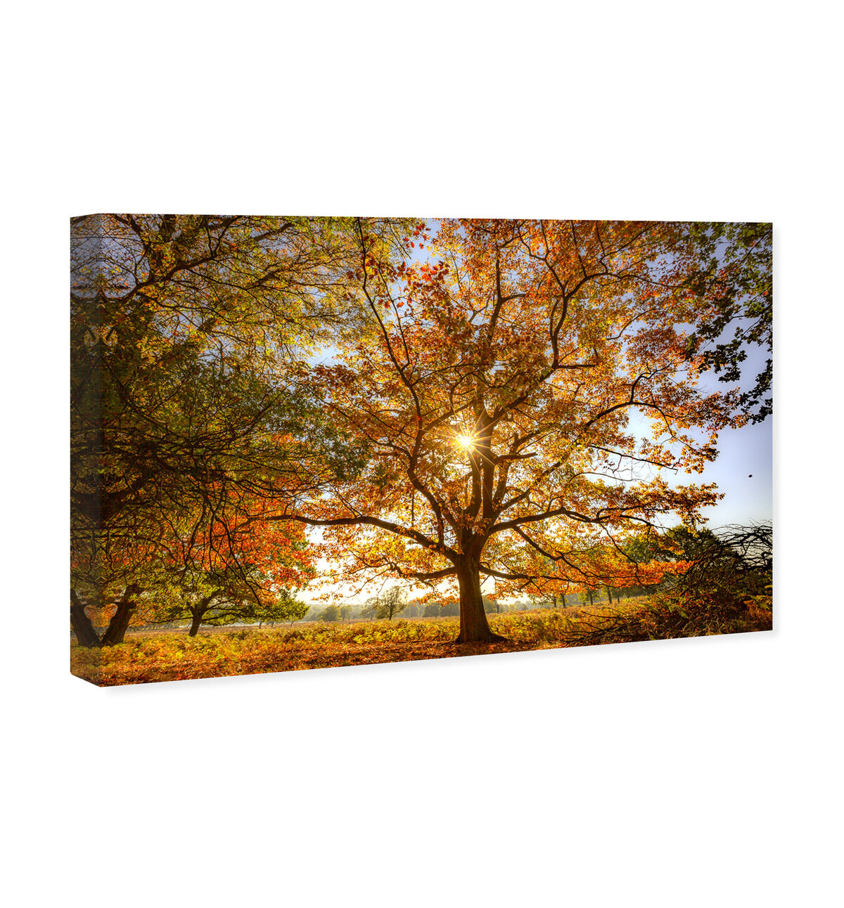 54x36/Canvas/XHD