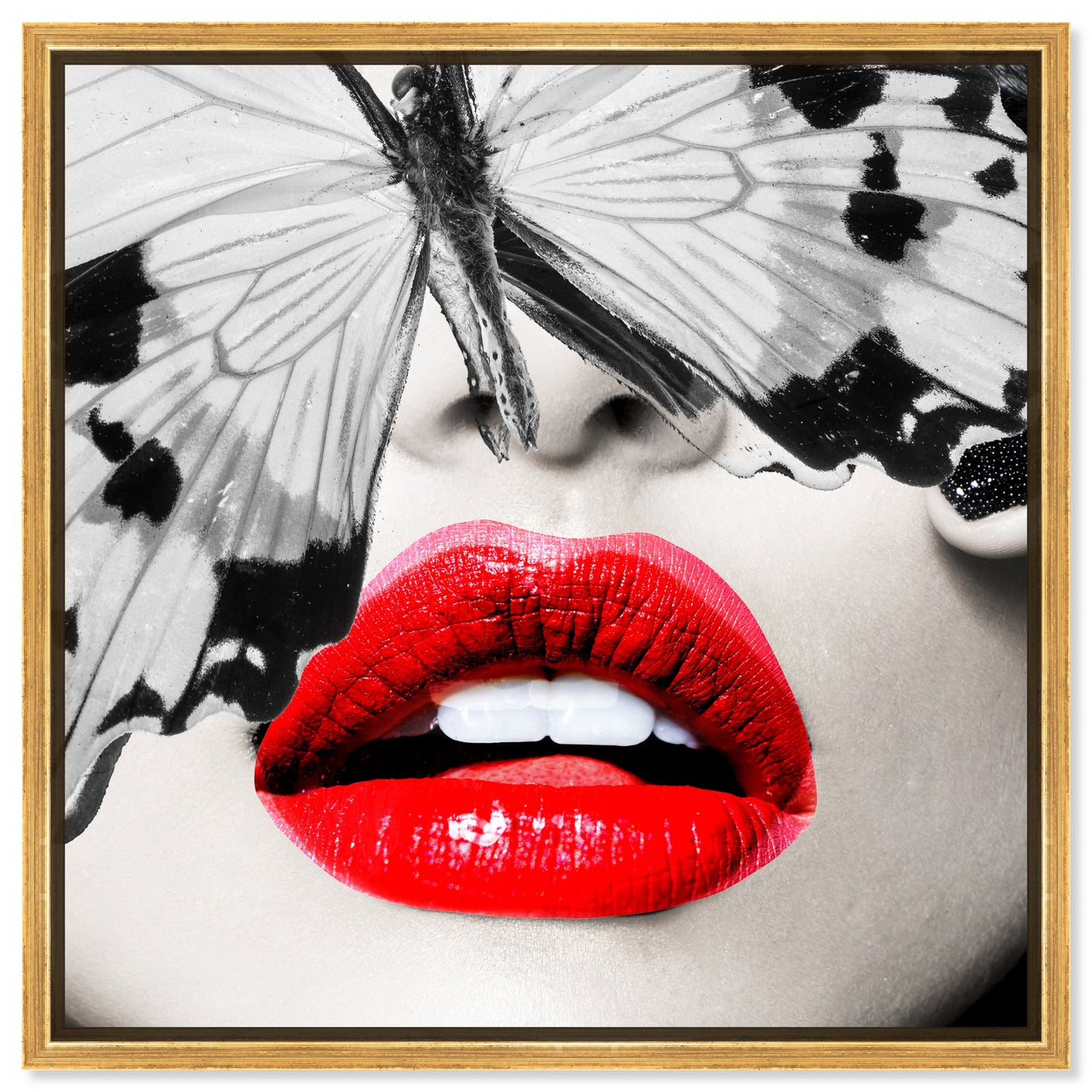 Butterfly Lips