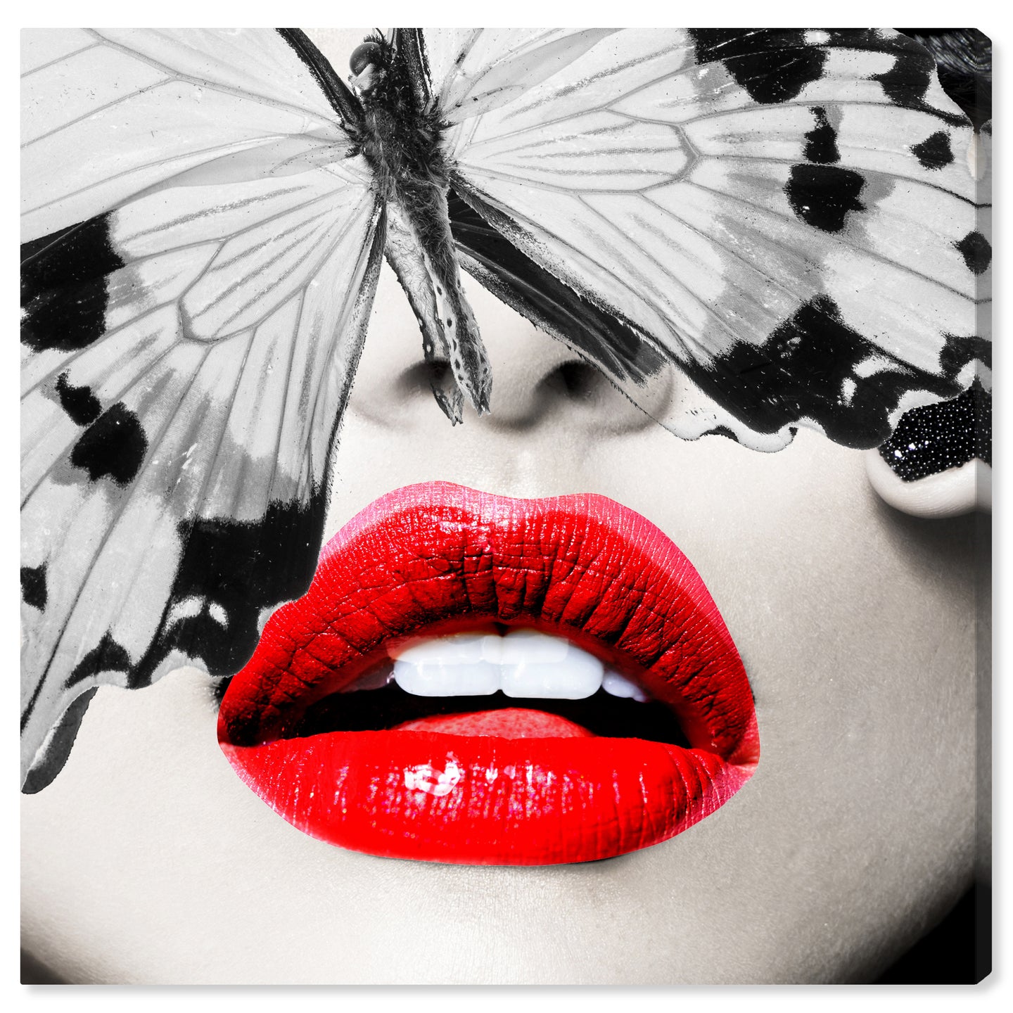 Butterfly Lips