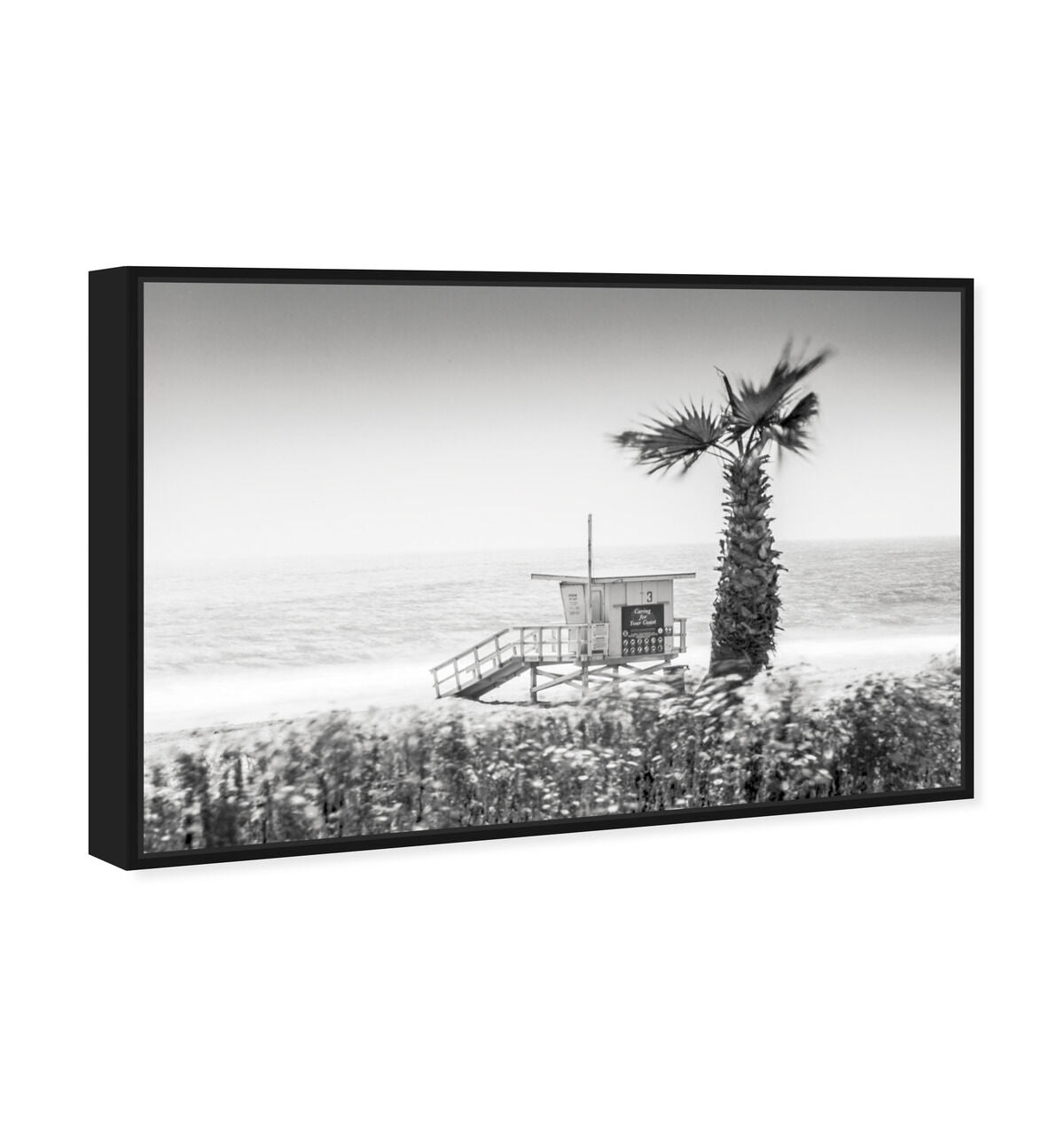 54x36/Framed Canvas/BFL