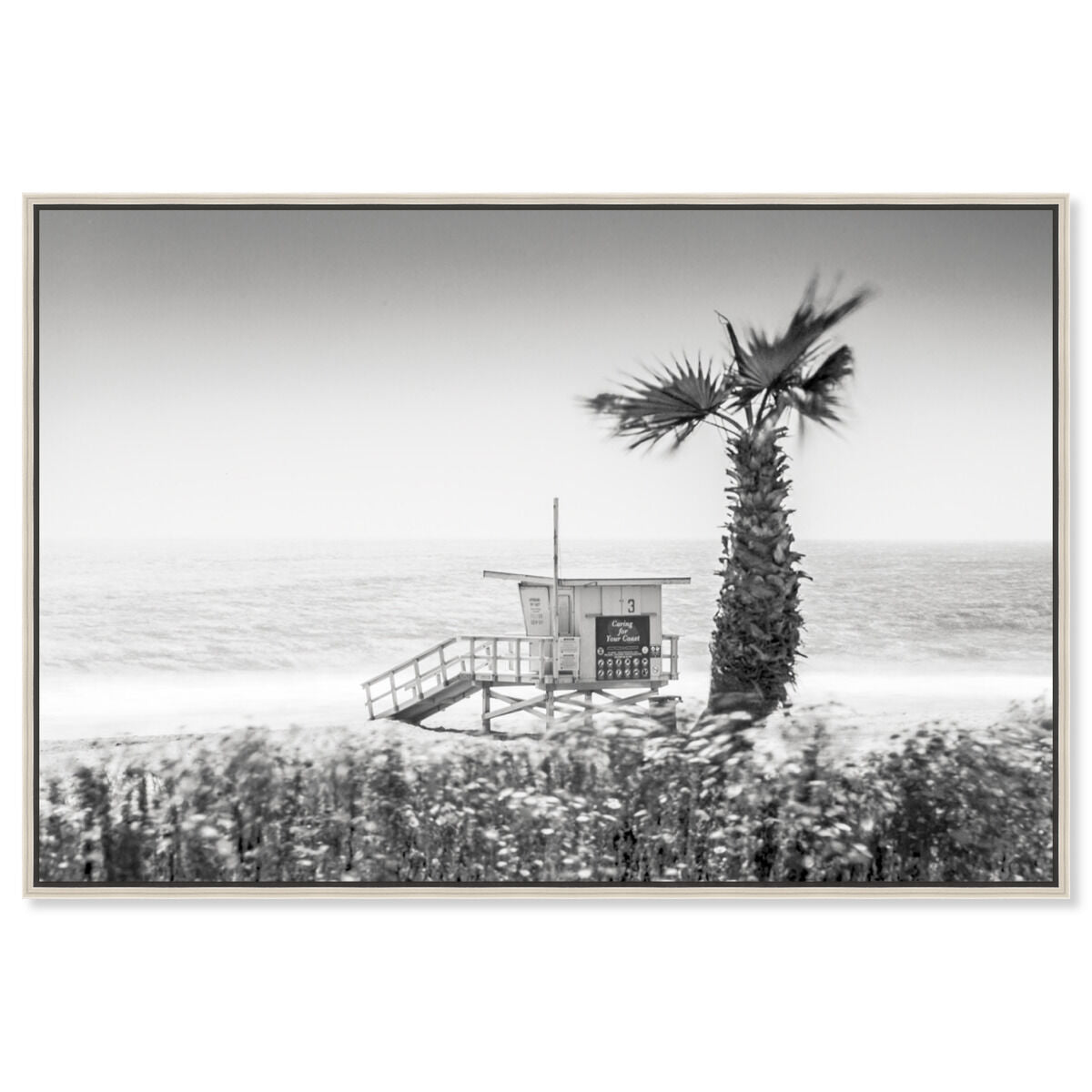 54x36/Framed Canvas/CFL