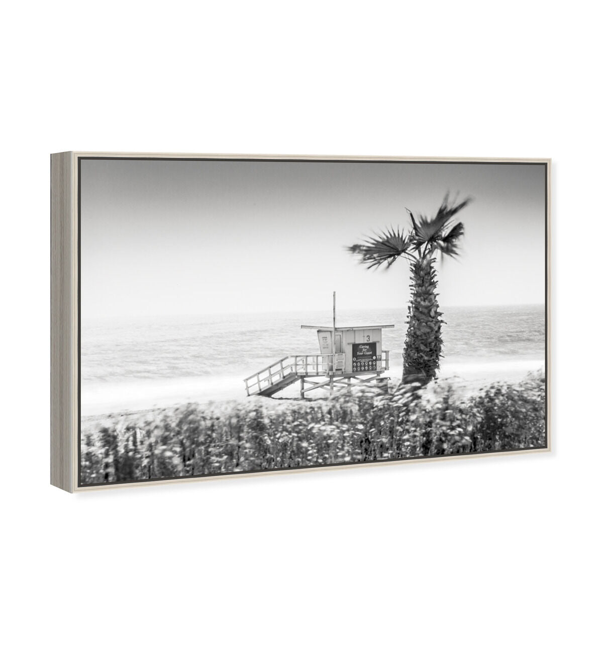 54x36/Framed Canvas/CFL