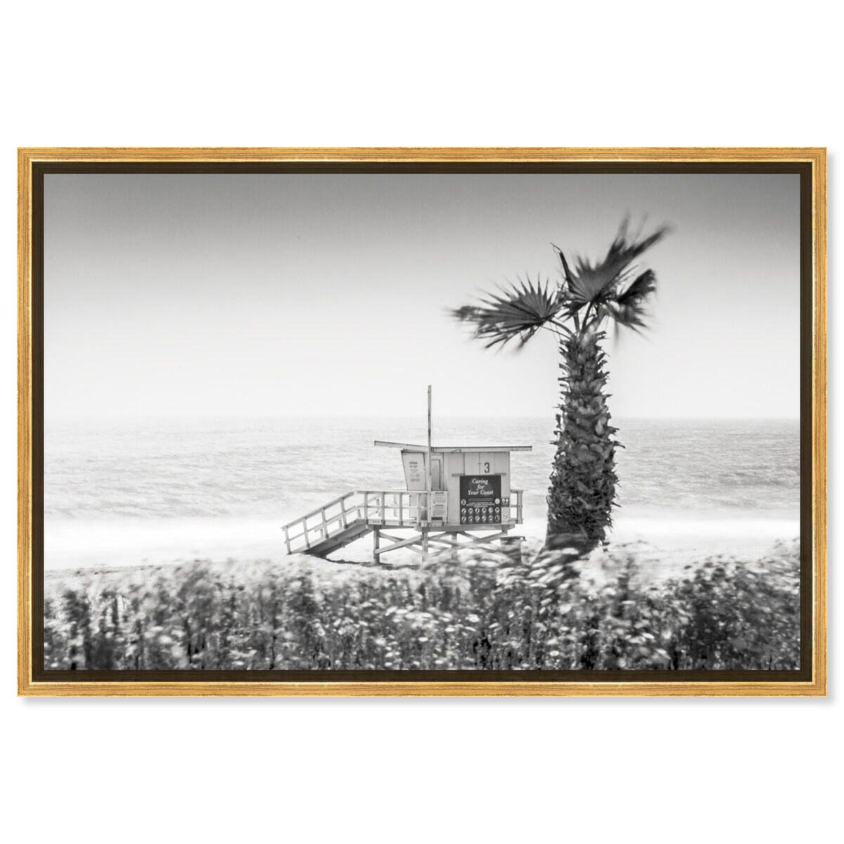 54x36/Framed Canvas/PSGLD