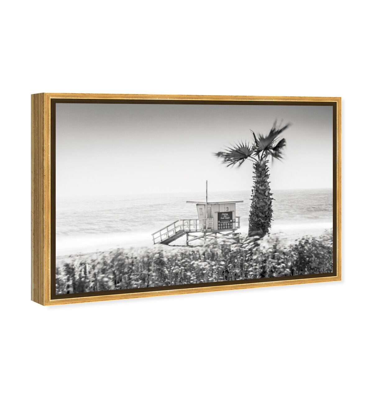 54x36/Framed Canvas/PSGLD