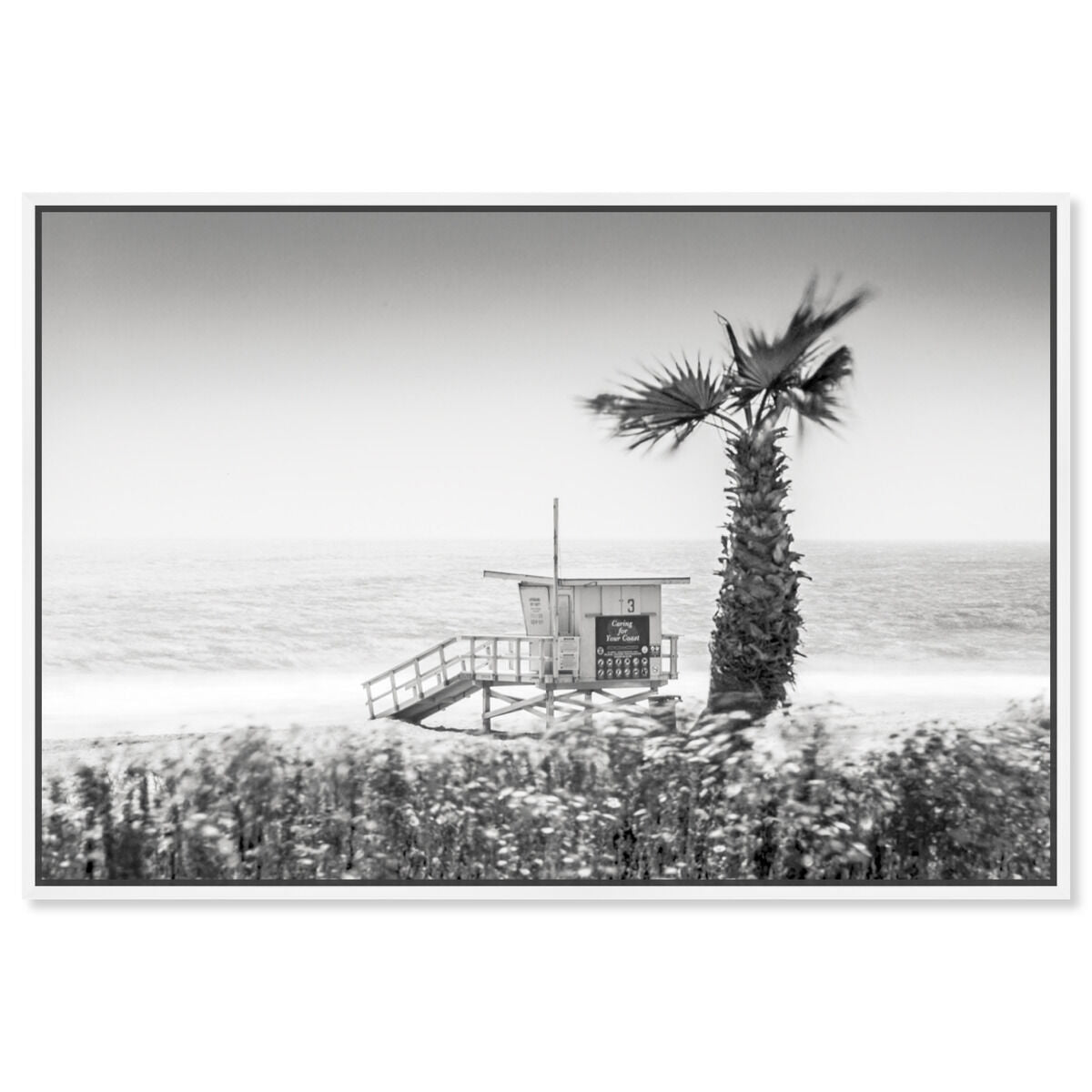 54x36/Framed Canvas/WFL