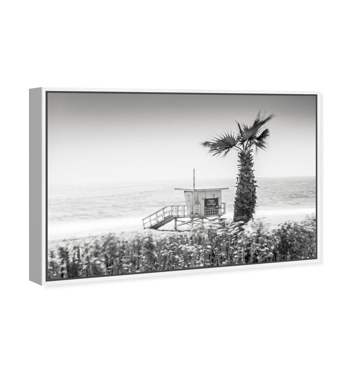 54x36/Framed Canvas/WFL