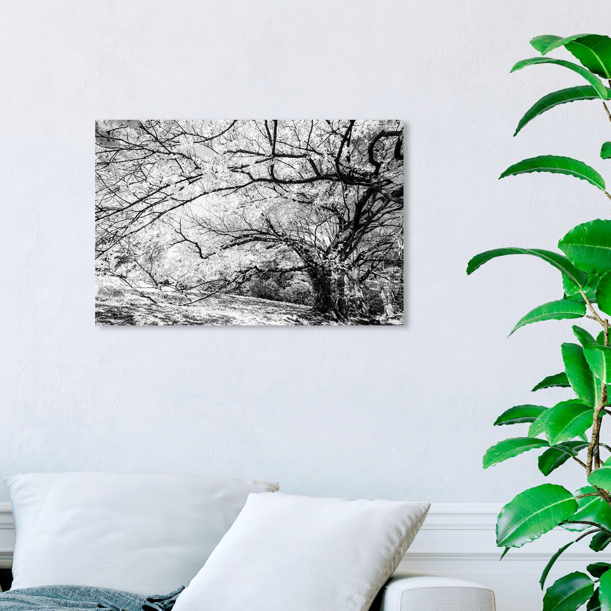 54x36/Canvas/XHD