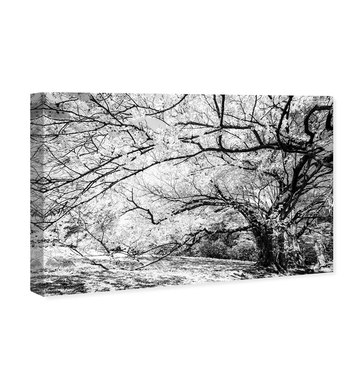 54x36/Canvas/XHD
