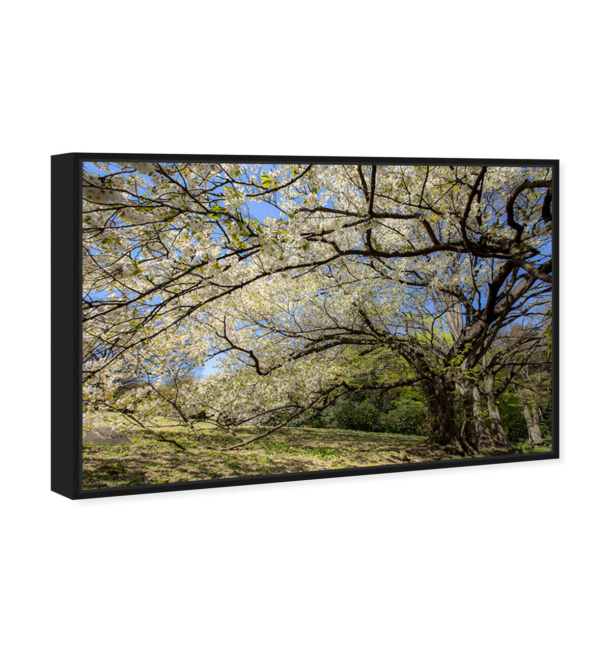 54x36/Framed Canvas/BFL