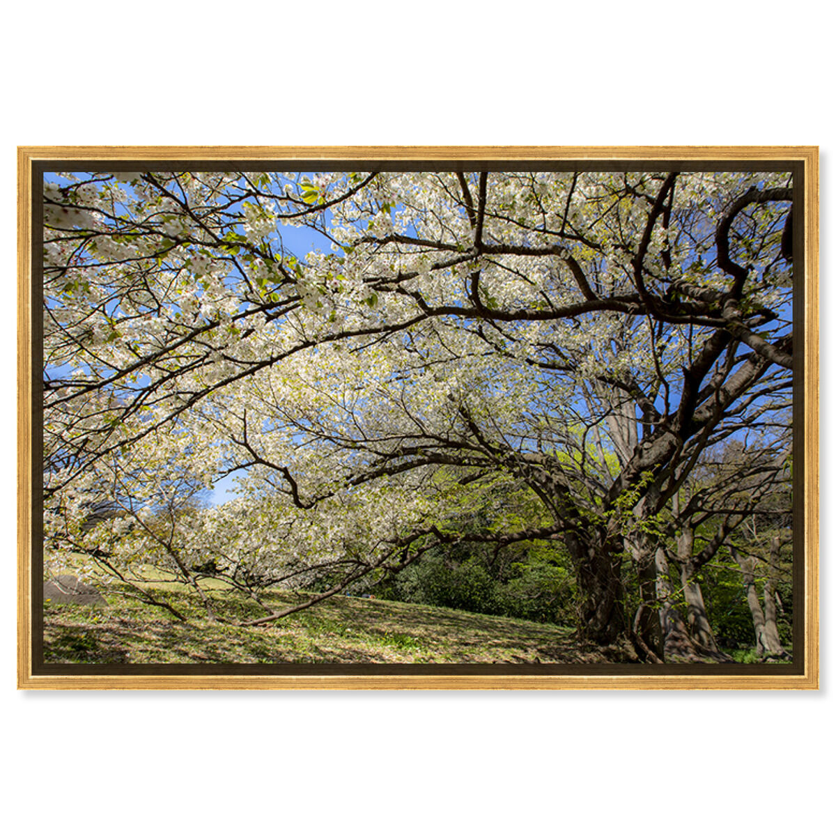 54x36/Framed Canvas/PSGLD