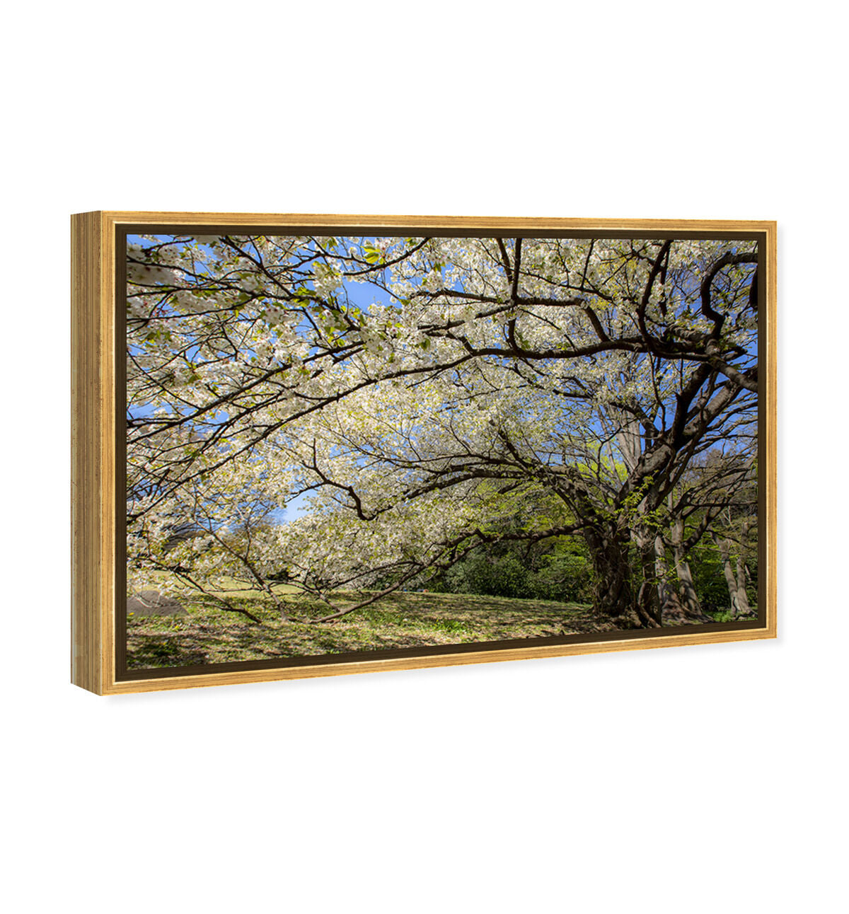 54x36/Framed Canvas/PSGLD