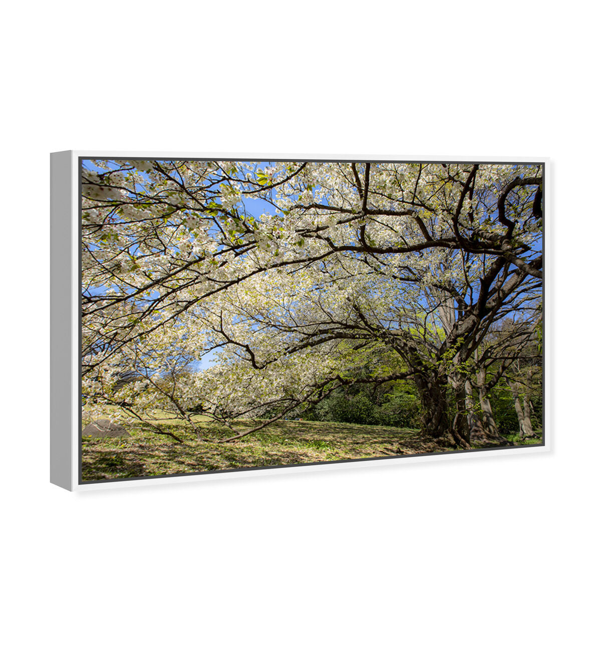 54x36/Framed Canvas/WFL