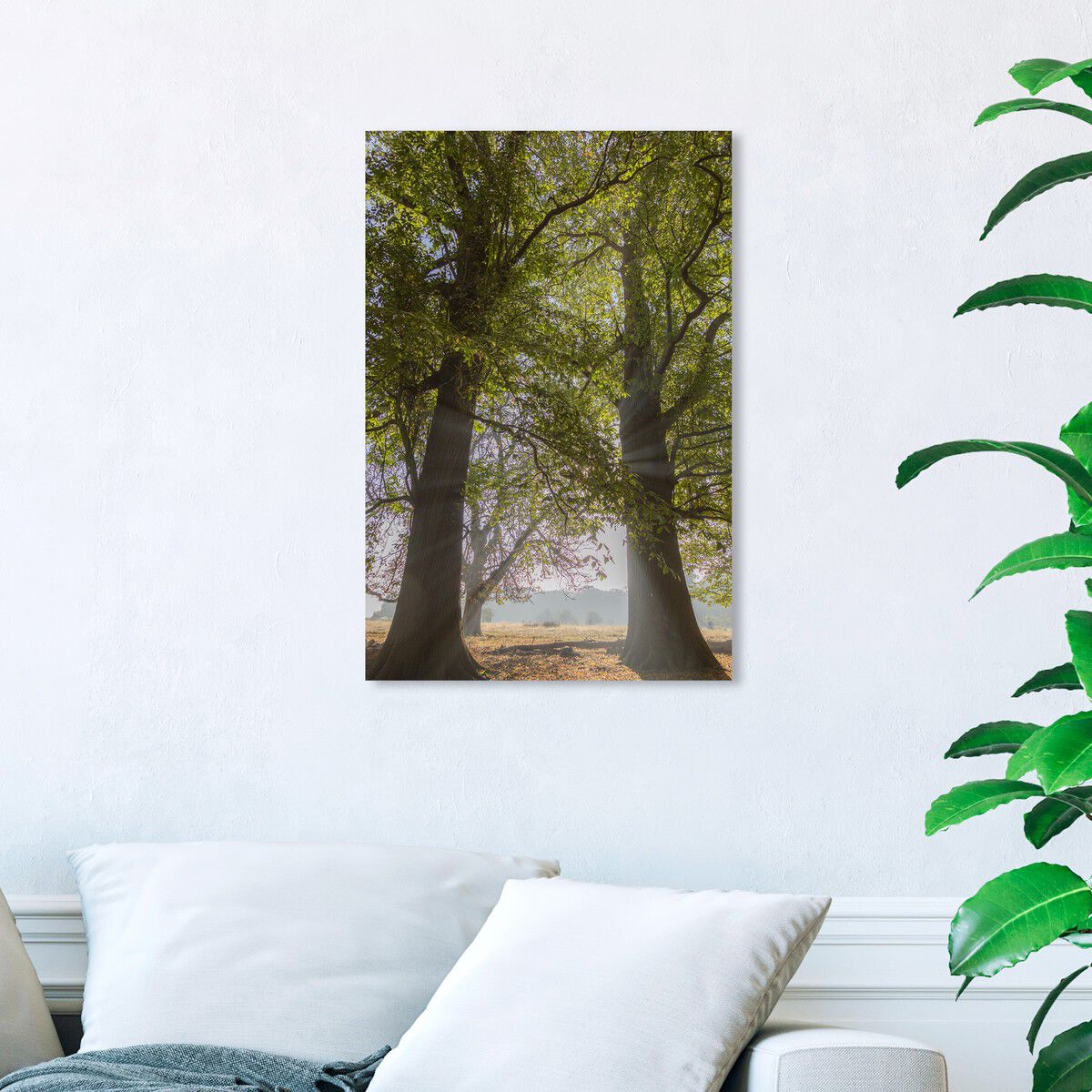 36x54/Canvas/XHD