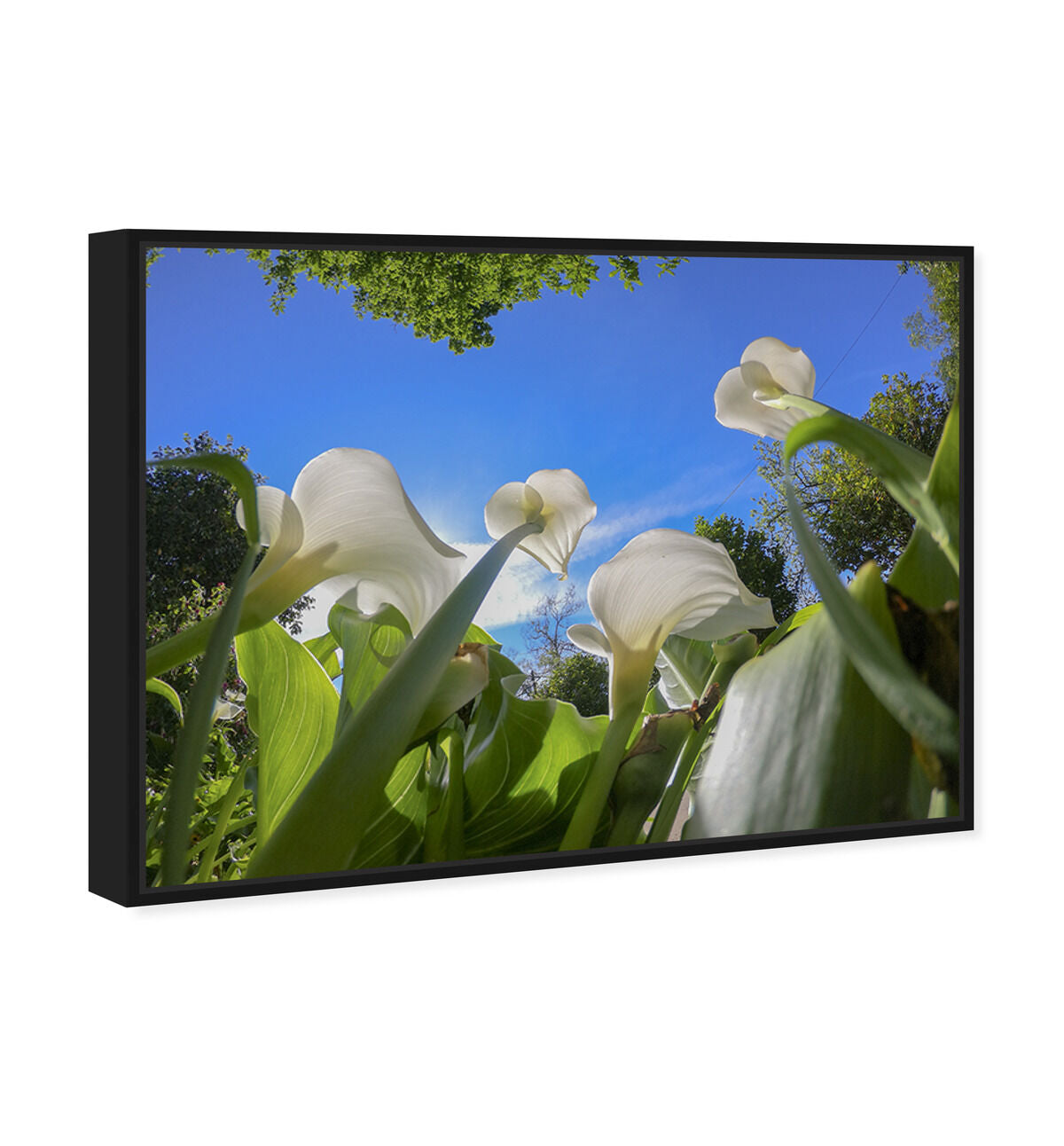 54x36/Framed Canvas/BFL