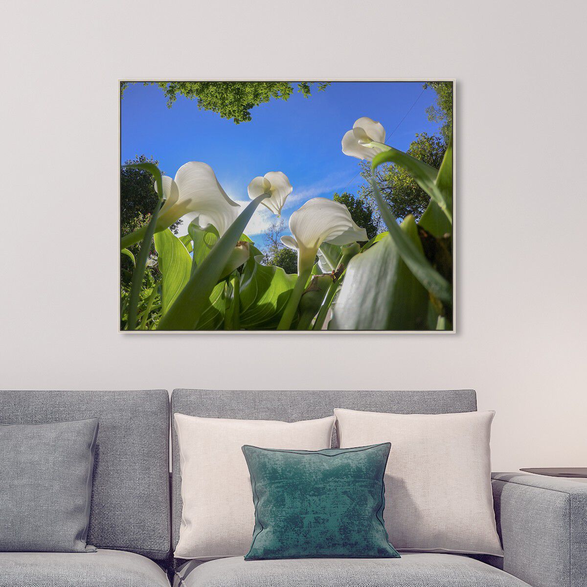 54x36/Framed Canvas/CFL