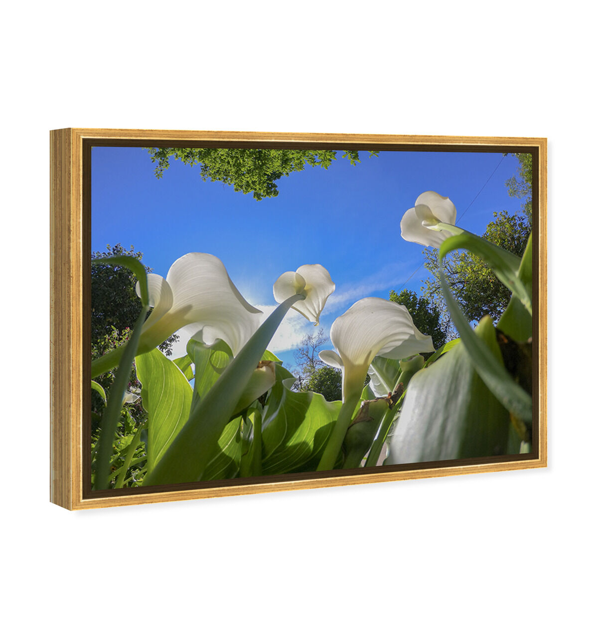 54x36/Framed Canvas/PSGLD