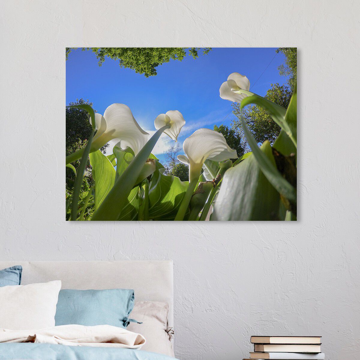 54x36/Canvas/XHD
