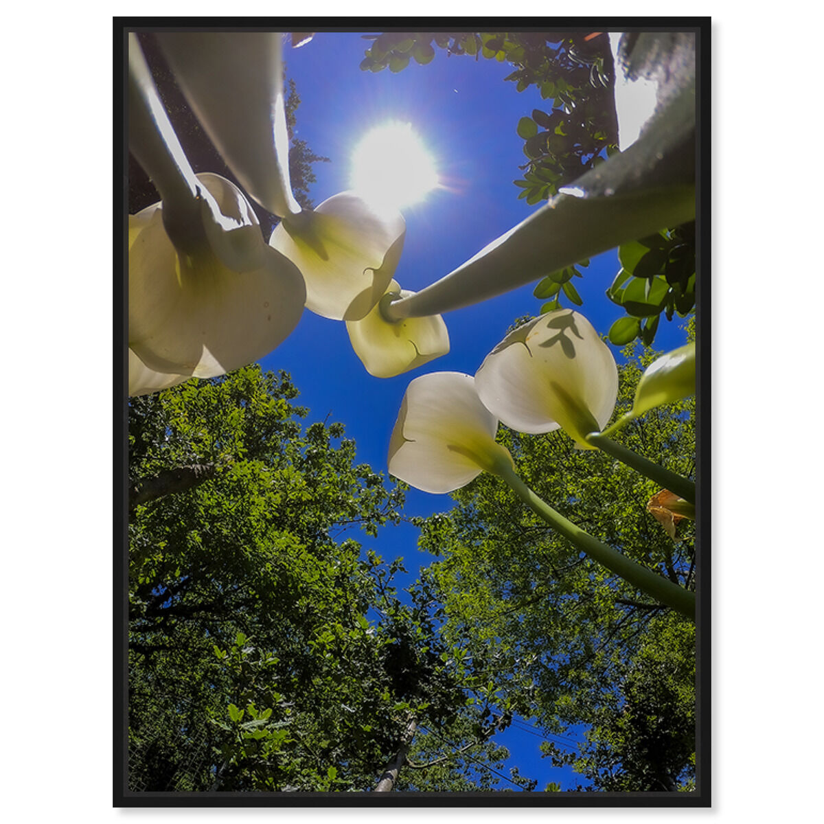 54x36/Framed Canvas/BFL
