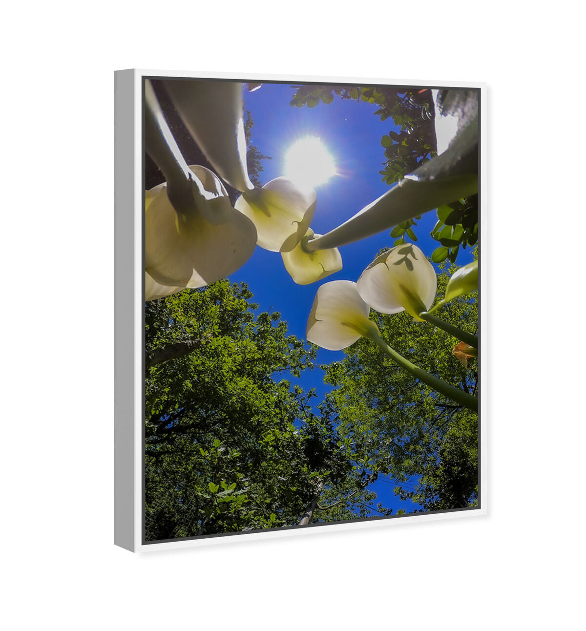 54x36/Framed Canvas/WFL