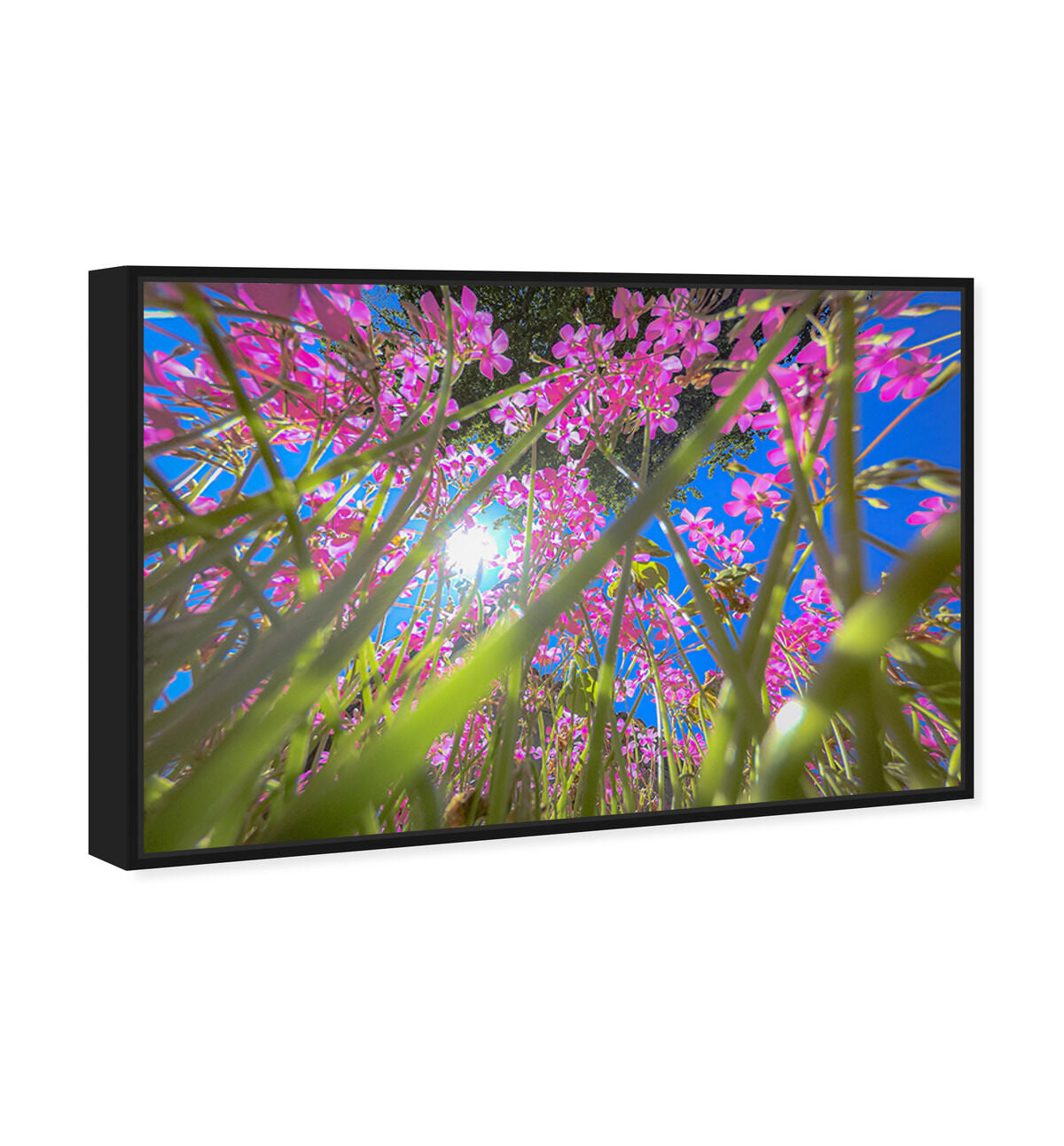 54x36/Framed Canvas/BFL