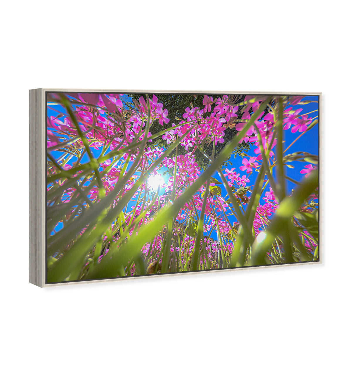 54x36/Framed Canvas/CFL
