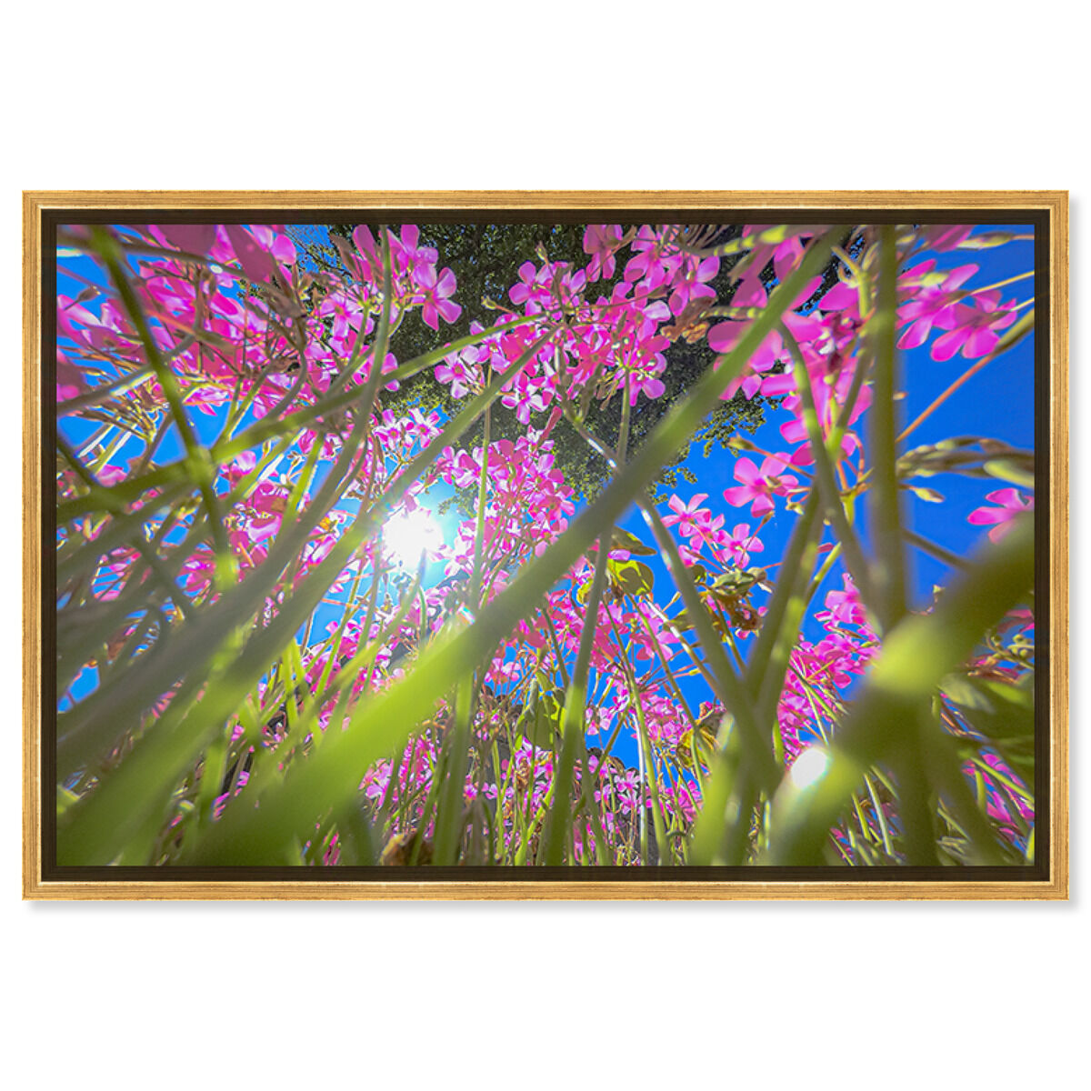 54x36/Framed Canvas/PSGLD